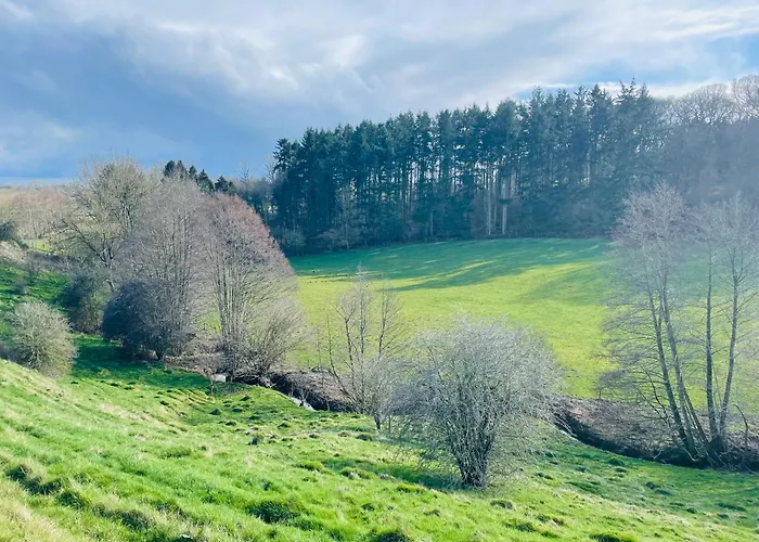 Pool Cottage Bed!-2 Bed Cottage With Dog Walking Trails And Local Pub On Your Doorstep! Popular Walking Trails Nearby-Malvern Hills And The Brockhampton Estate- Peaceful Village On The Border Of Hereford And Worcester