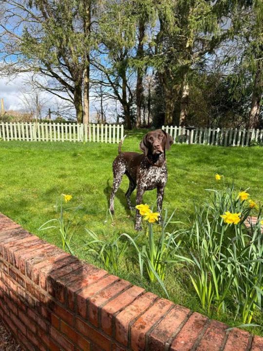 Pool Bed!-2 Bed With Dog Walking Trails And Local Pub On Your Doorstep! Popular Walking Trails Nearby-malvern Hills And The Brockhampton Estate- Peaceful Village On The Border Of Hereford And Ferienhaus Worcester