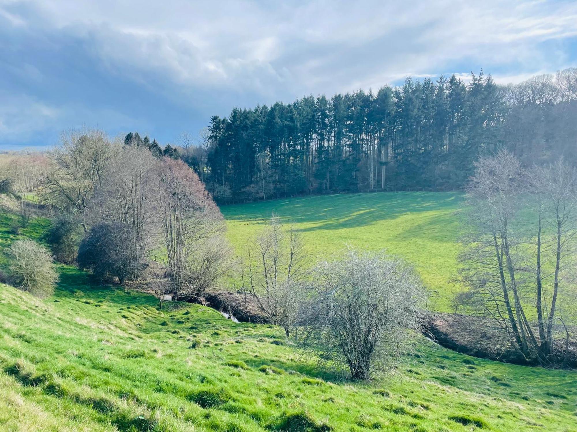 Ferienhaus Pool Bed!-2 Bed With Dog Walking Trails And Local Pub On Your Doorstep! Popular Walking Trails Nearby-malvern Hills And The Brockhampton Estate- Peaceful Village On The Border Of Hereford And