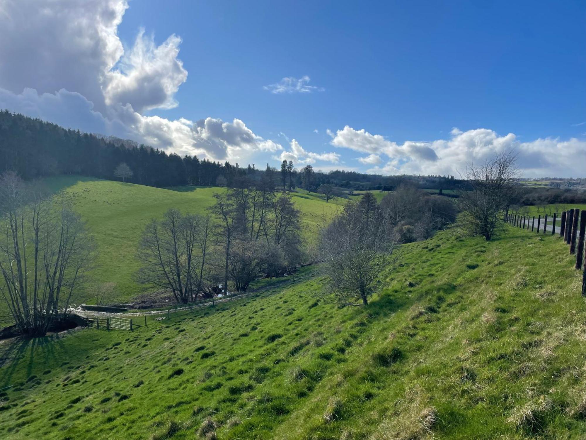 Ferienhaus Pool Bed!-2 Bed With Dog Walking Trails And Local Pub On Your Doorstep! Popular Walking Trails Nearby-malvern Hills And The Brockhampton Estate- Peaceful Village On The Border Of Hereford And Worcester