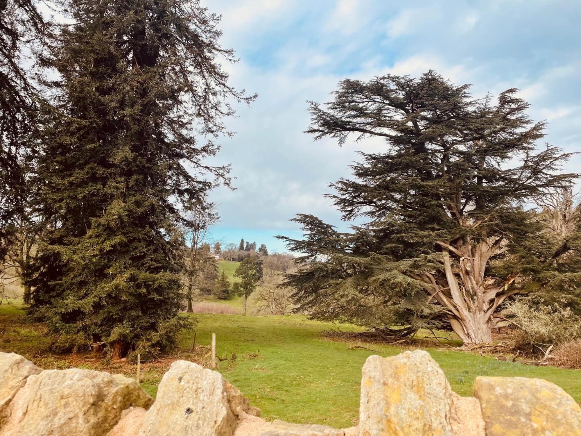 Pool Bed!-2 Bed With Dog Walking Trails And Local Pub On Your Doorstep! Popular Walking Trails Nearby-malvern Hills And The Brockhampton Estate- Peaceful Village On The Border Of Hereford And *