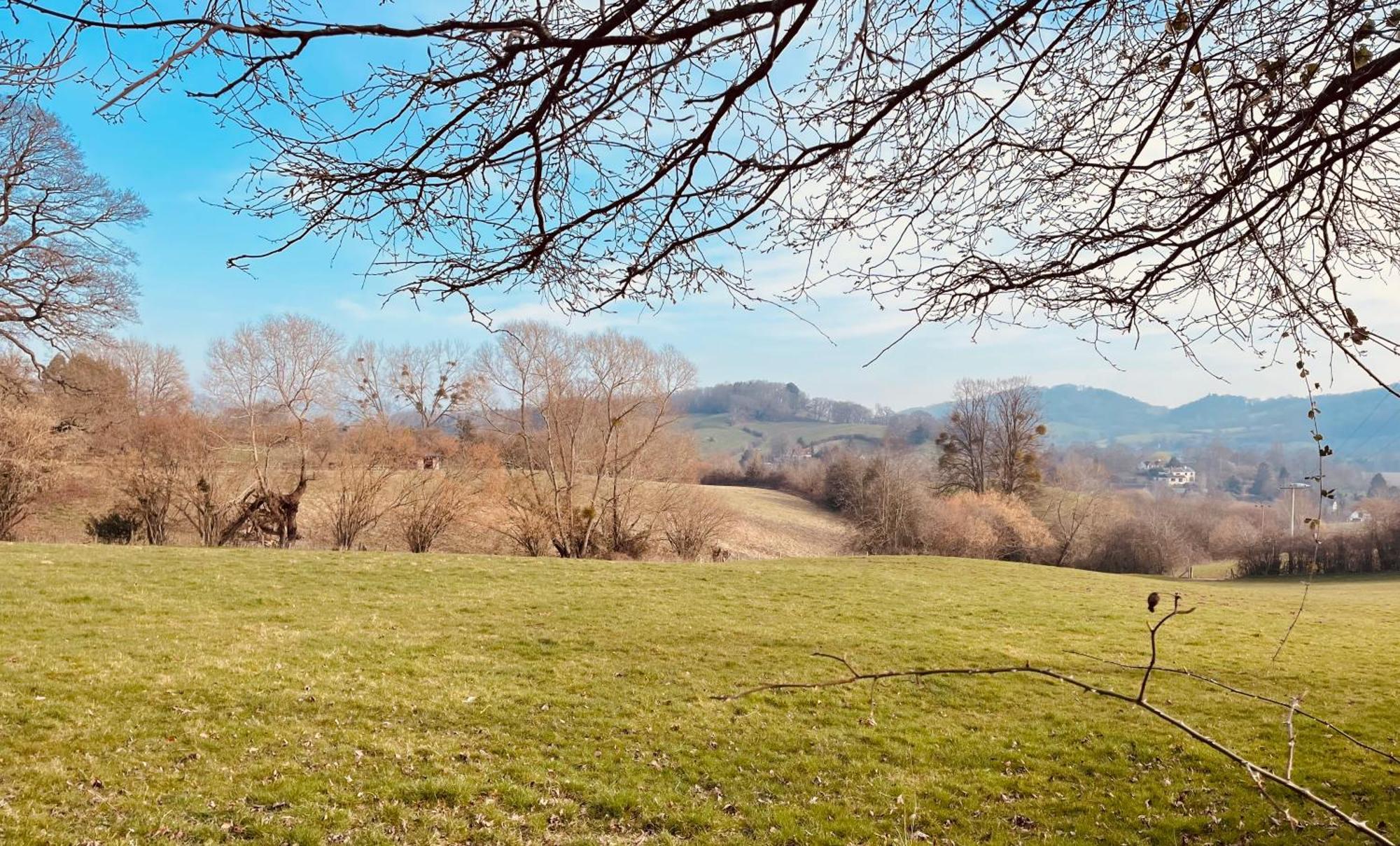Ferienhaus Pool Bed!-2 Bed With Dog Walking Trails And Local Pub On Your Doorstep! Popular Walking Trails Nearby-malvern Hills And The Brockhampton Estate- Peaceful Village On The Border Of Hereford And Worcester