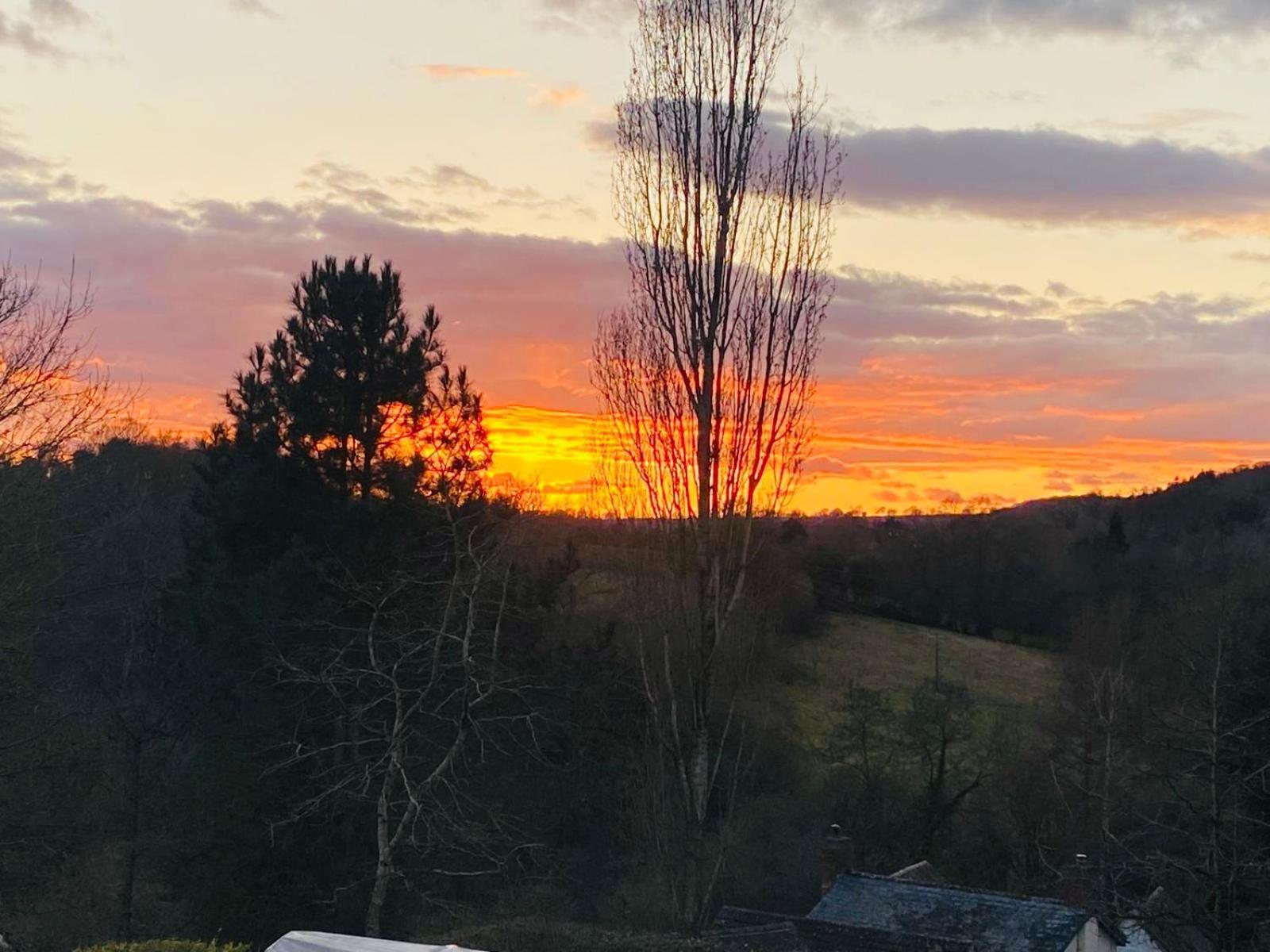 Pool Bed!-2 Bed With Dog Walking Trails And Local Pub On Your Doorstep! Popular Walking Trails Nearby-malvern Hills And The Brockhampton Estate- Peaceful Village On The Border Of Hereford And Ferienhaus Worcester